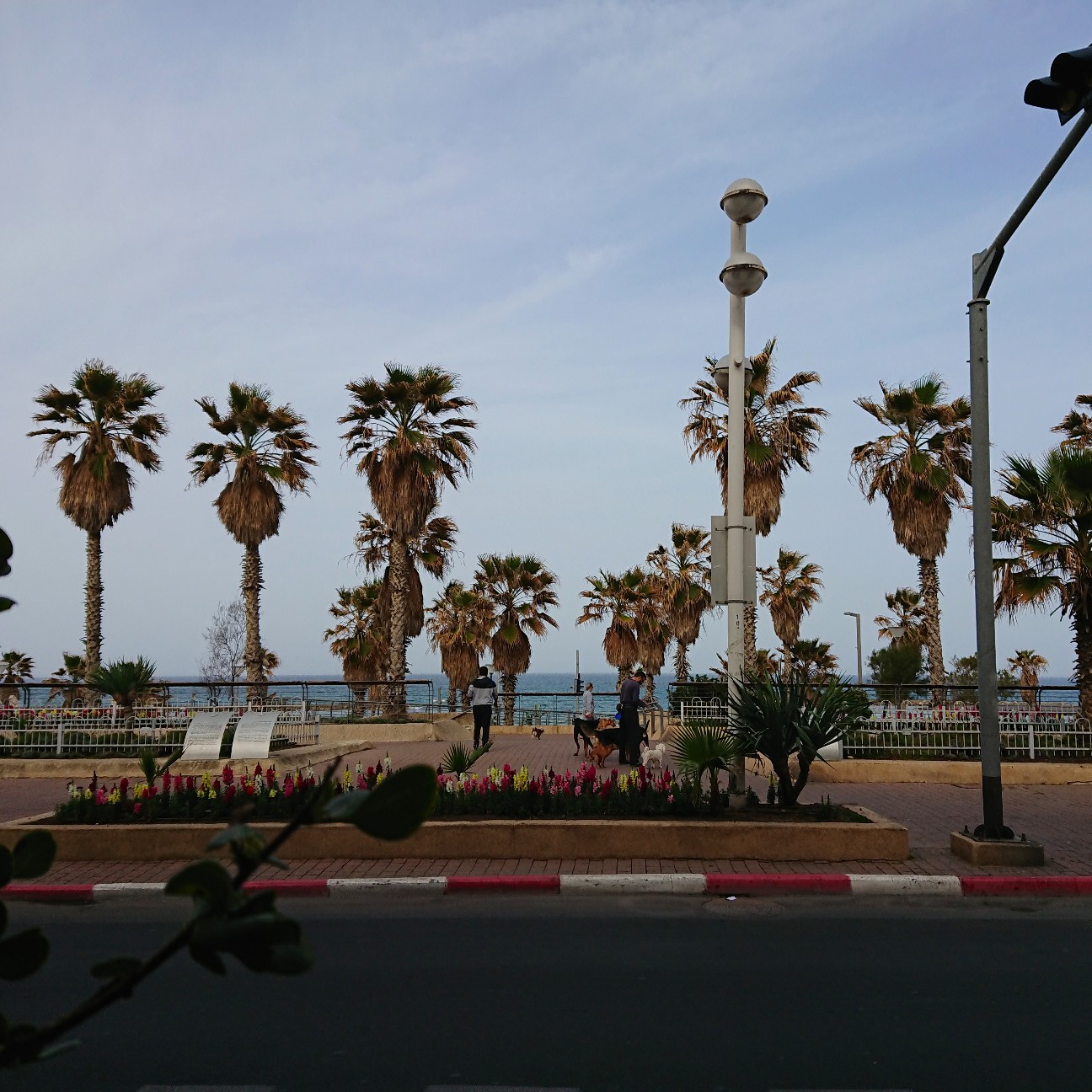 f:id:tomoeagle:20190228064236j:plain f:id:tomoeagle:20190228064236j:plain