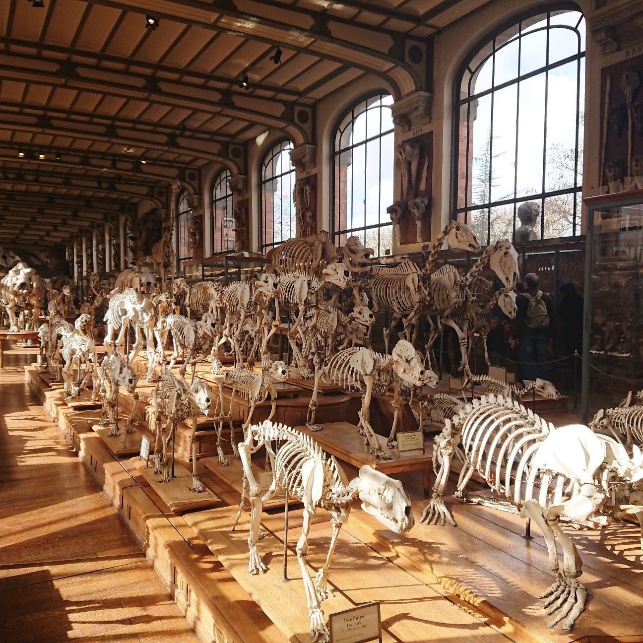 f:id:tomoeagle:20190311201145j:plain