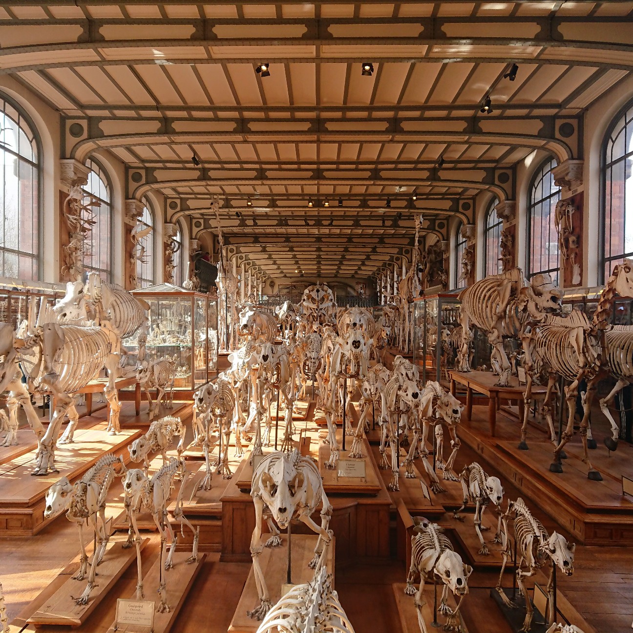 f:id:tomoeagle:20190311201149j:plain