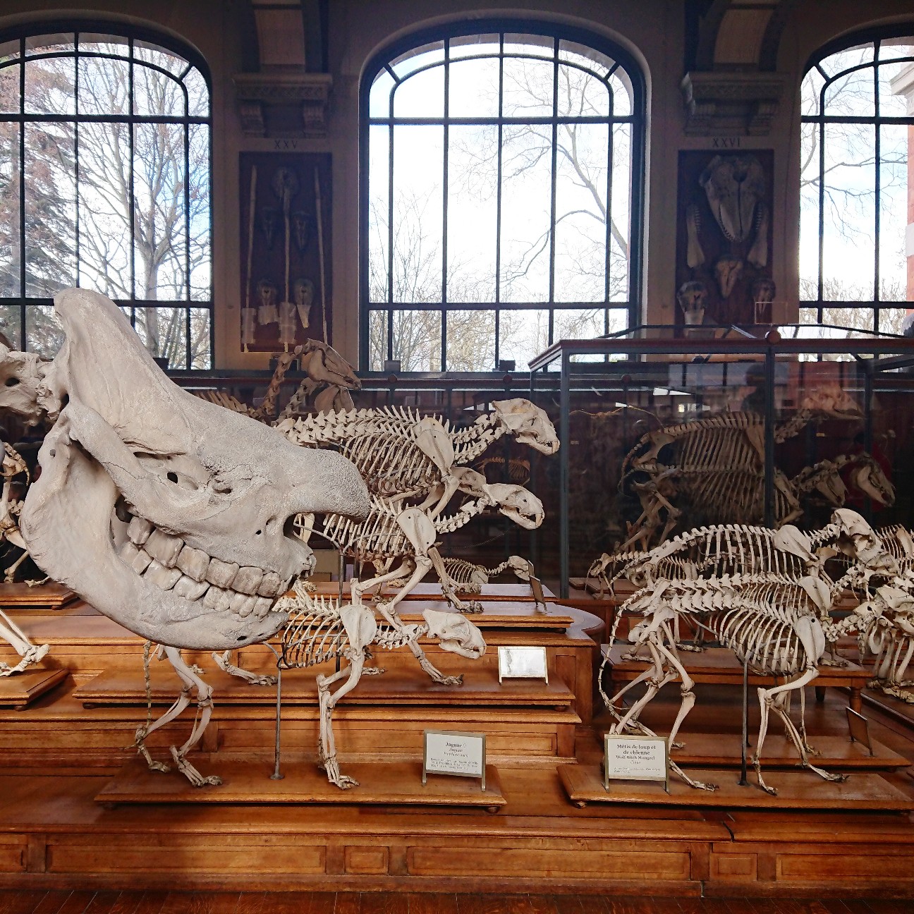 f:id:tomoeagle:20190311201206j:plain