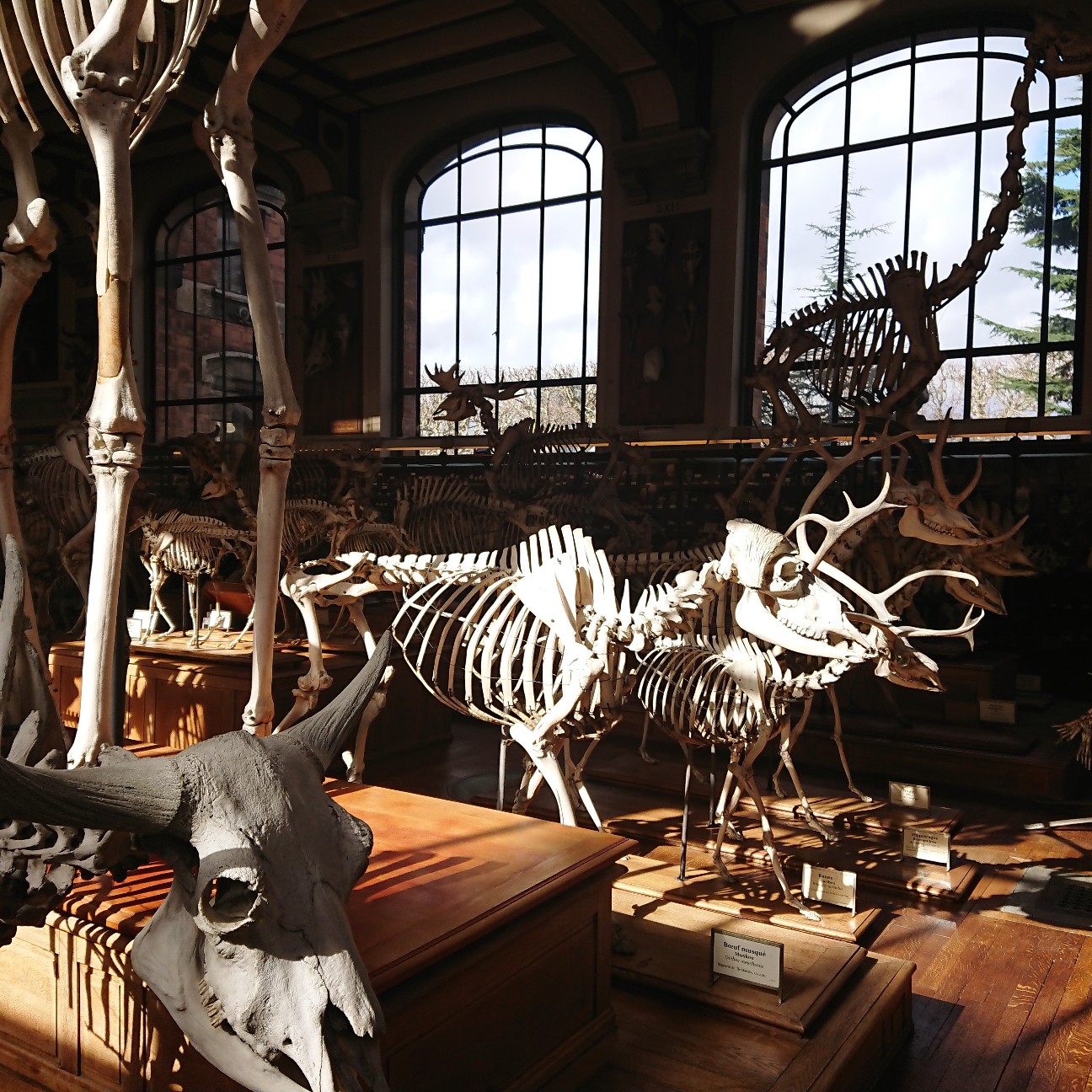 f:id:tomoeagle:20190311201210j:plain