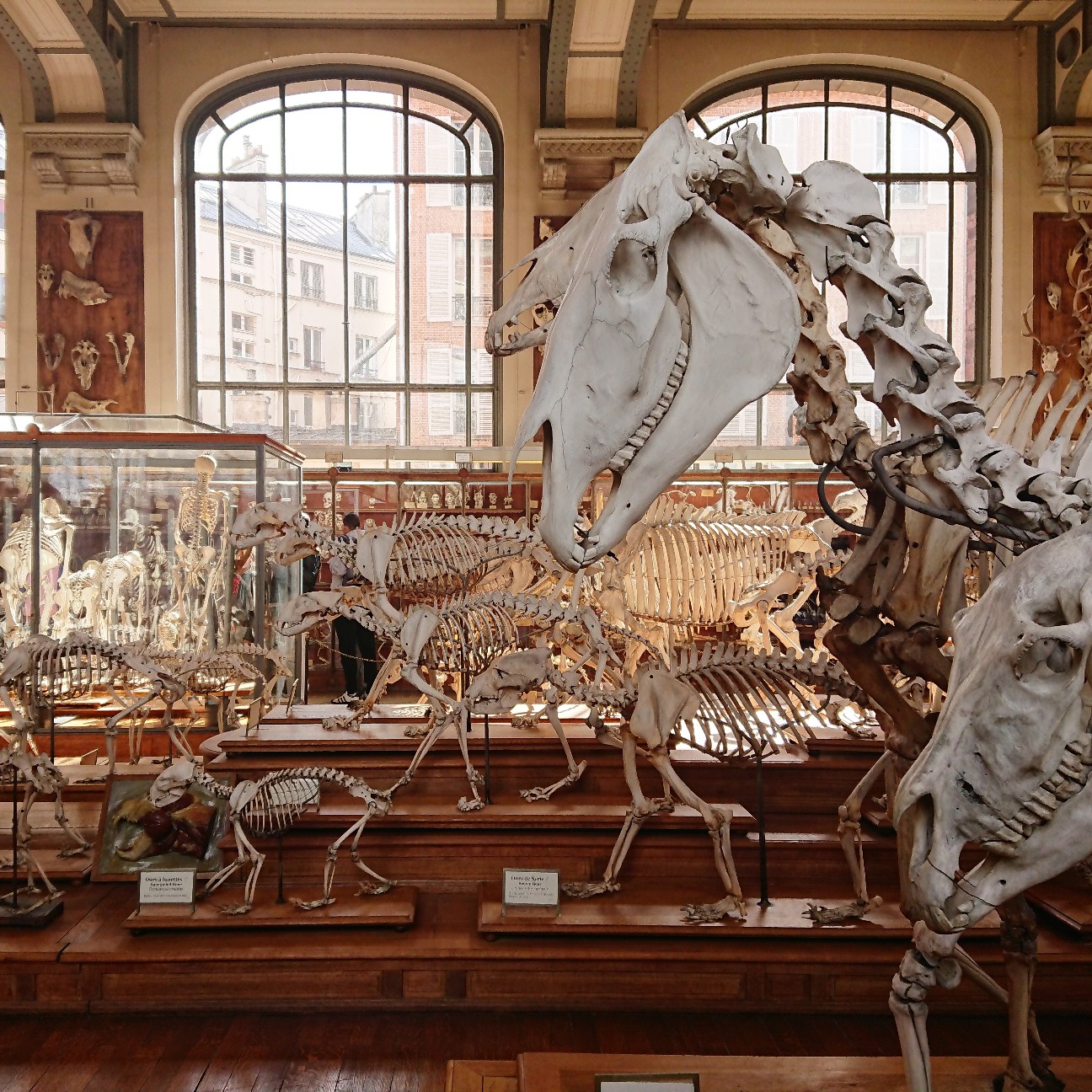 f:id:tomoeagle:20190311201216j:plain