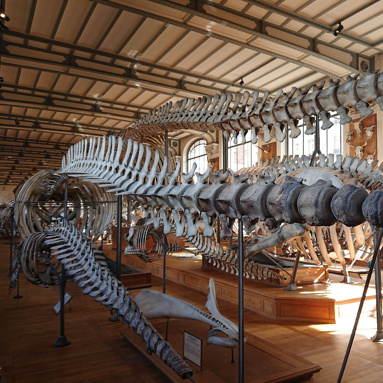 f:id:tomoeagle:20190311201220j:plain