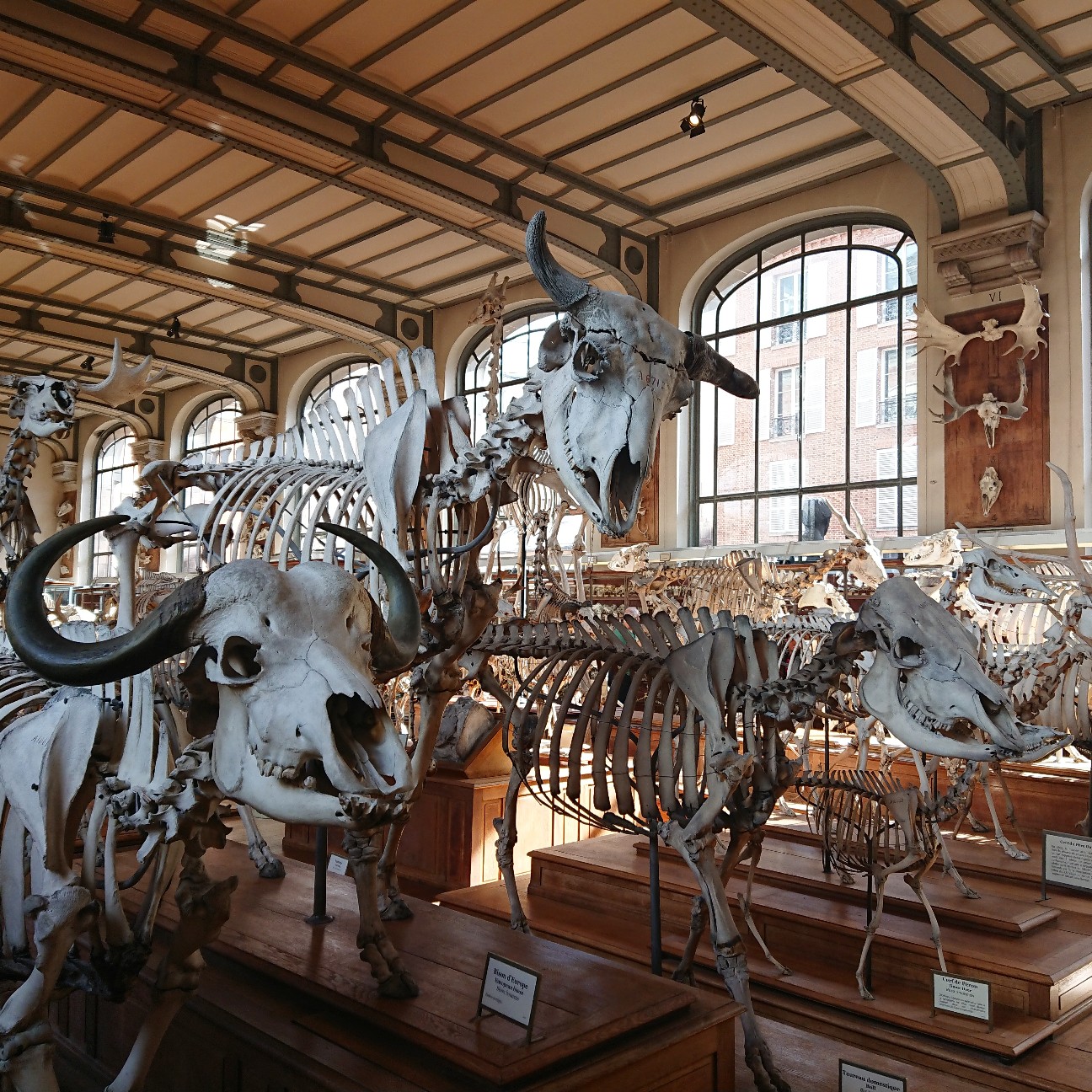 f:id:tomoeagle:20190311201223j:plain