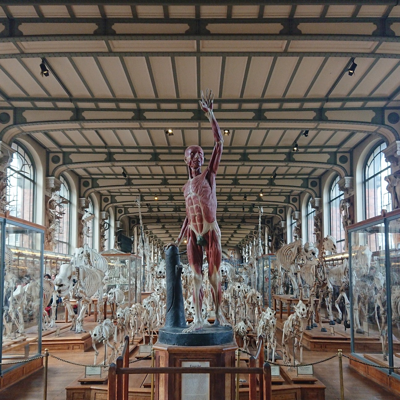 f:id:tomoeagle:20190311201231j:plain