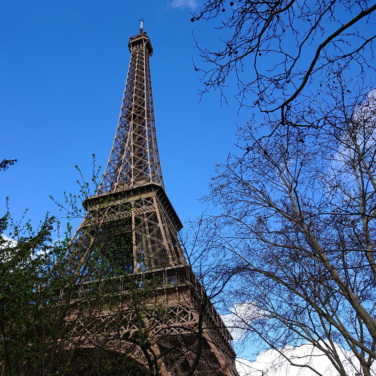 f:id:tomoeagle:20190311201305j:plain