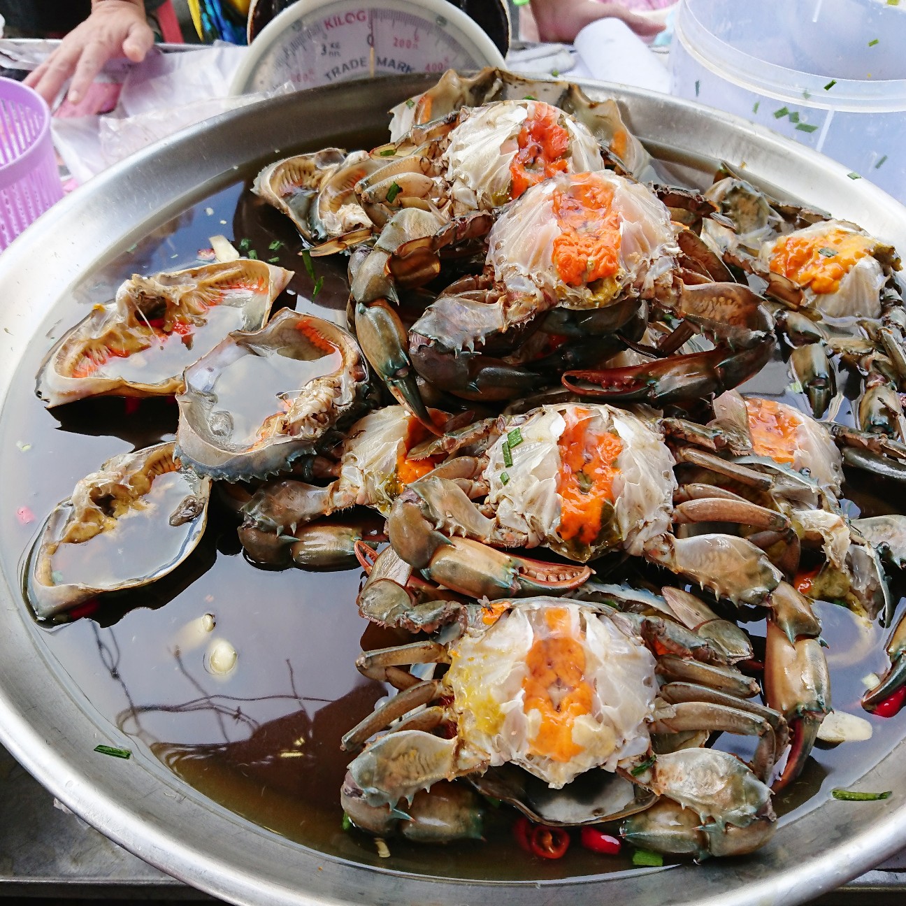 f:id:tomoeagle:20190504064819j:plain