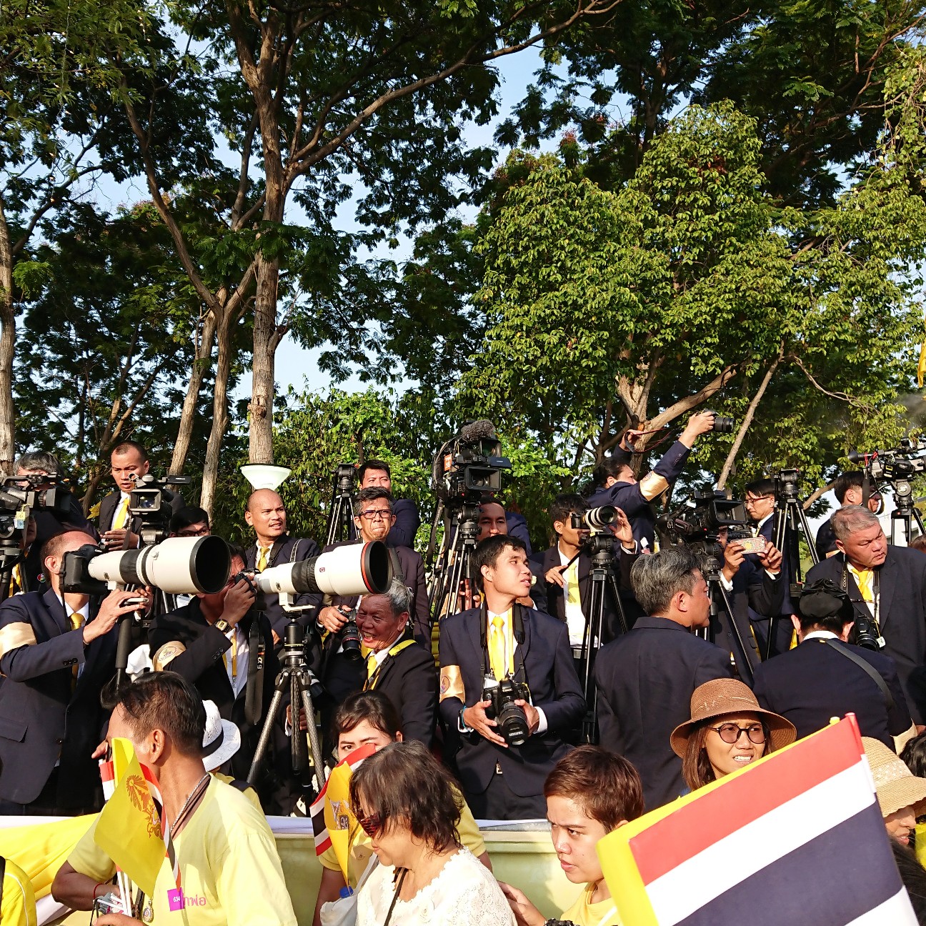 f:id:tomoeagle:20190508111632j:plain