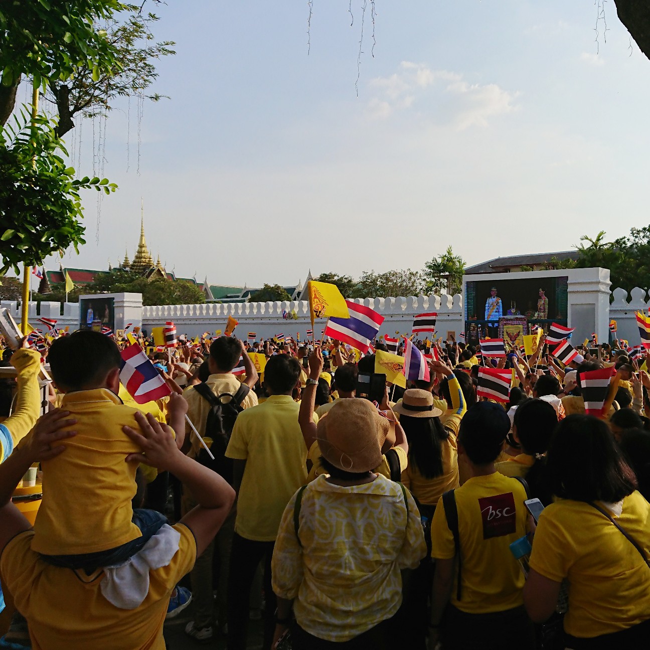 f:id:tomoeagle:20190508112635j:plain