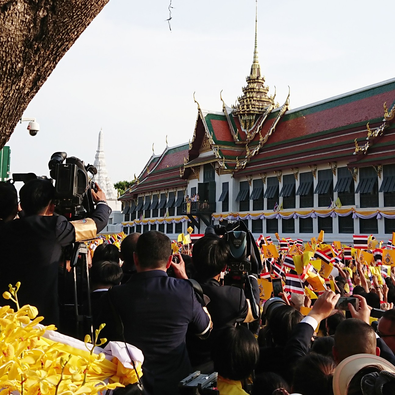 f:id:tomoeagle:20190508112645j:plain