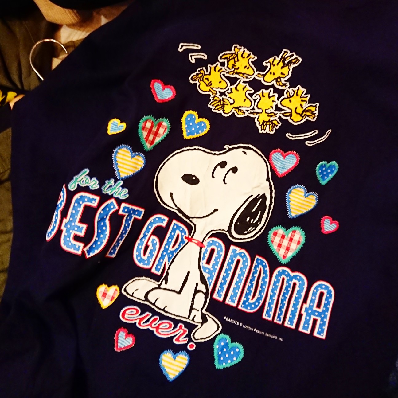 f:id:tomoeagle:20190509053125j:plain