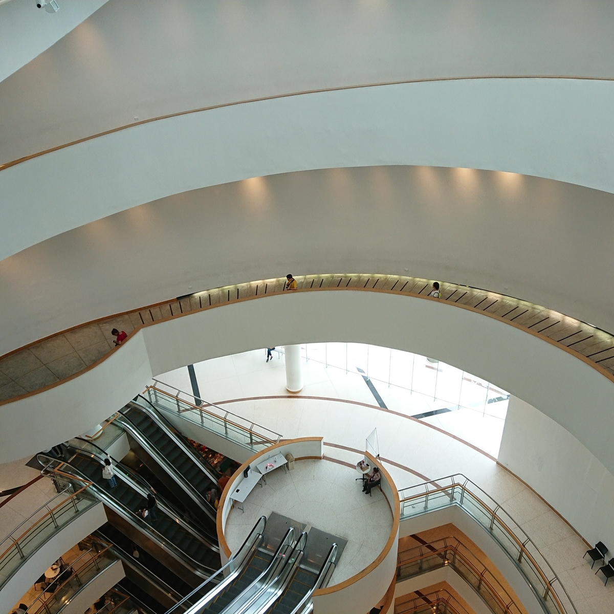 f:id:tomoeagle:20190509054949j:plain