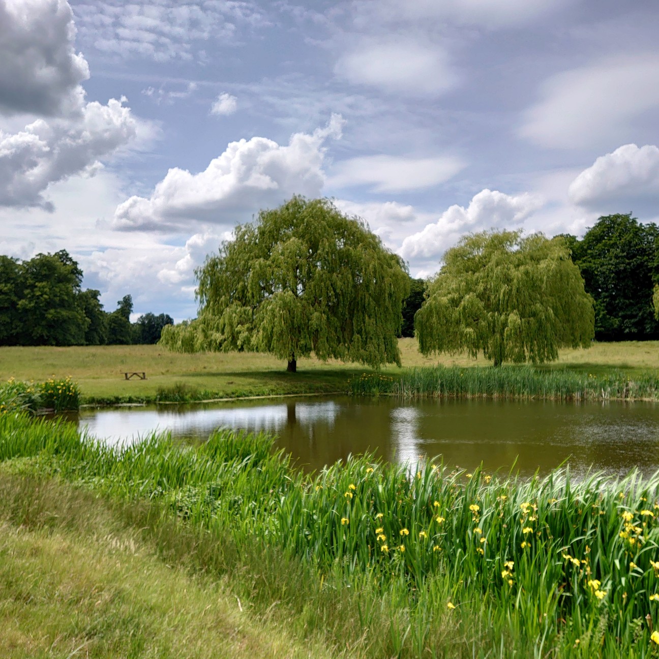 f:id:tomoeagle:20190612003738j:plain