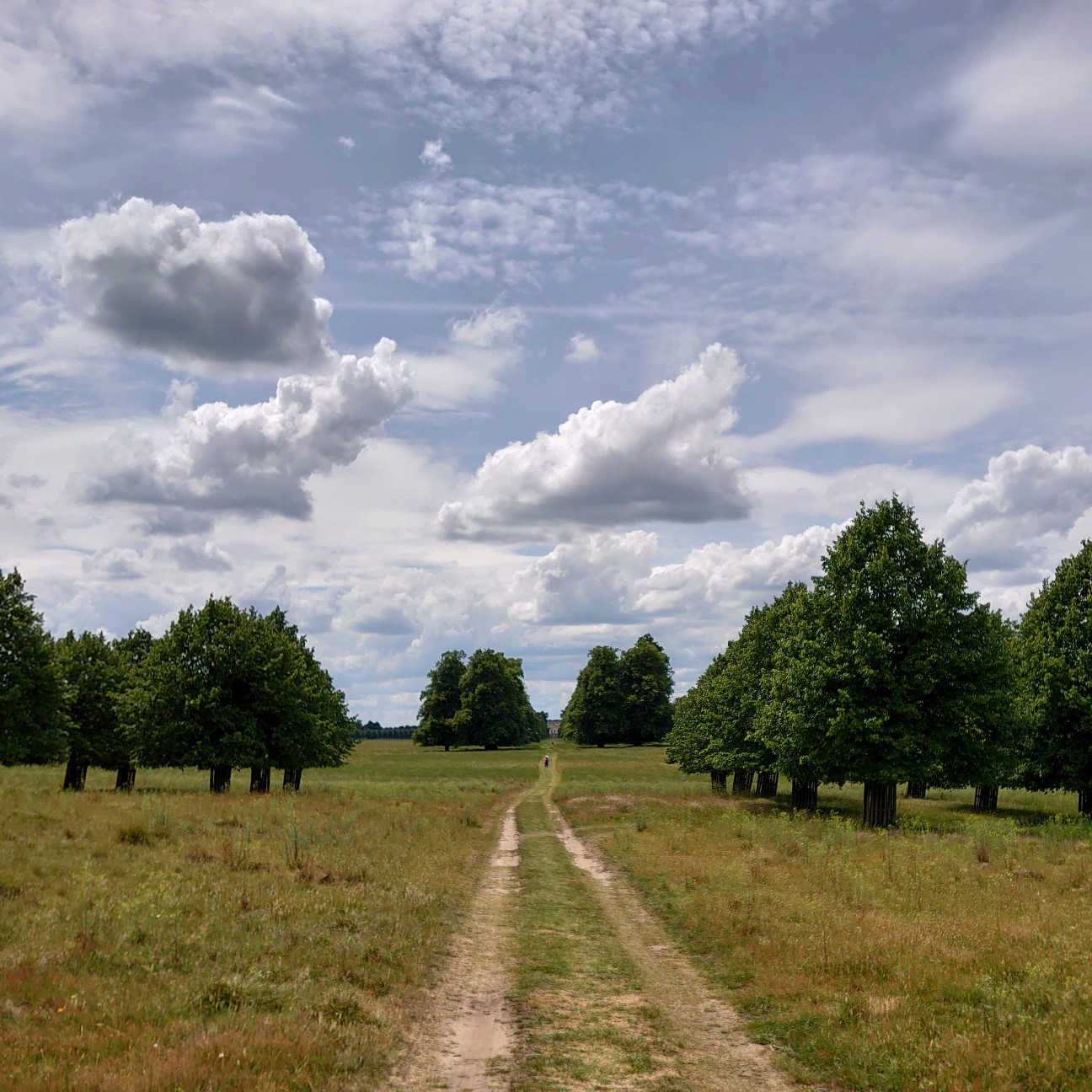 f:id:tomoeagle:20190612003746j:plain