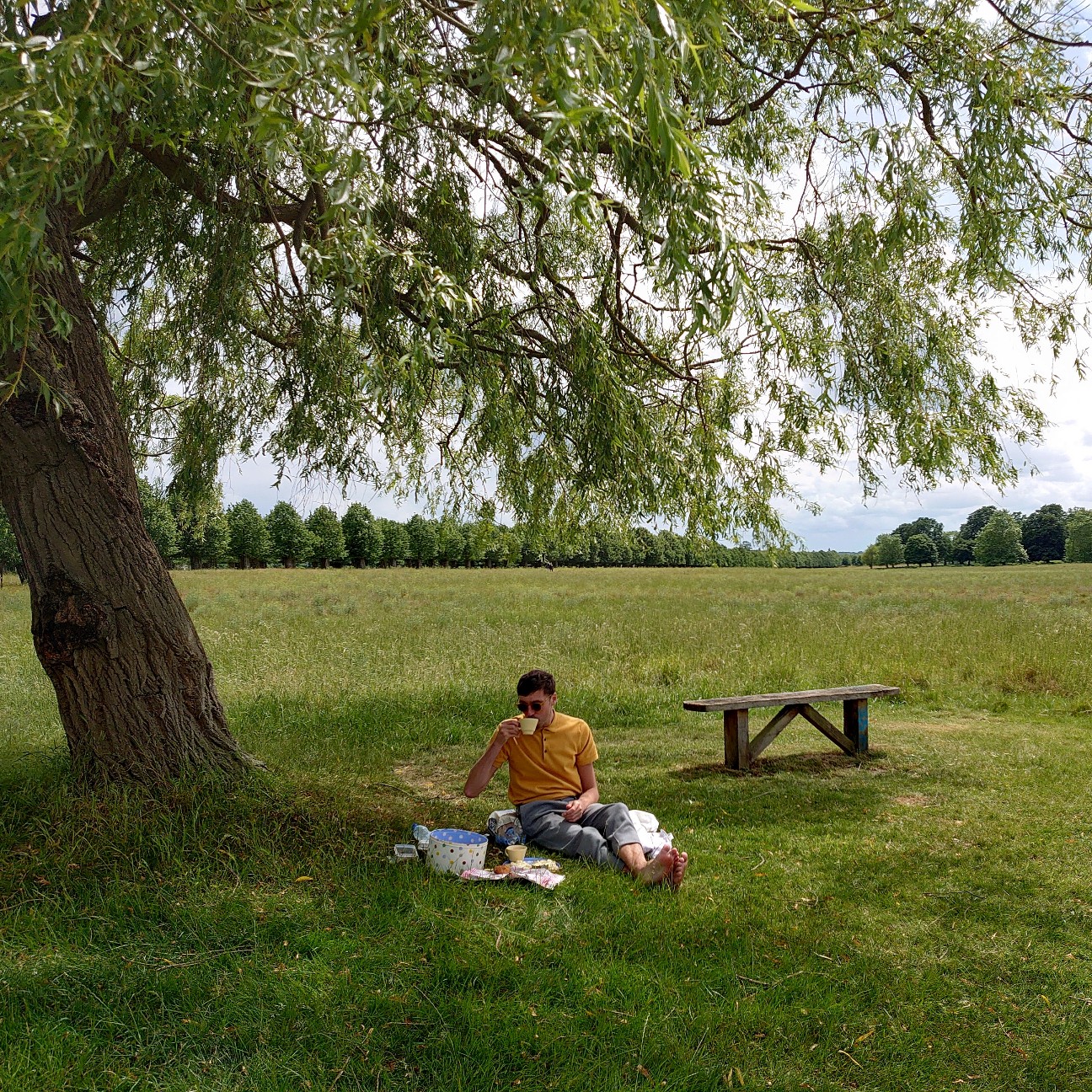 f:id:tomoeagle:20190612003753j:plain