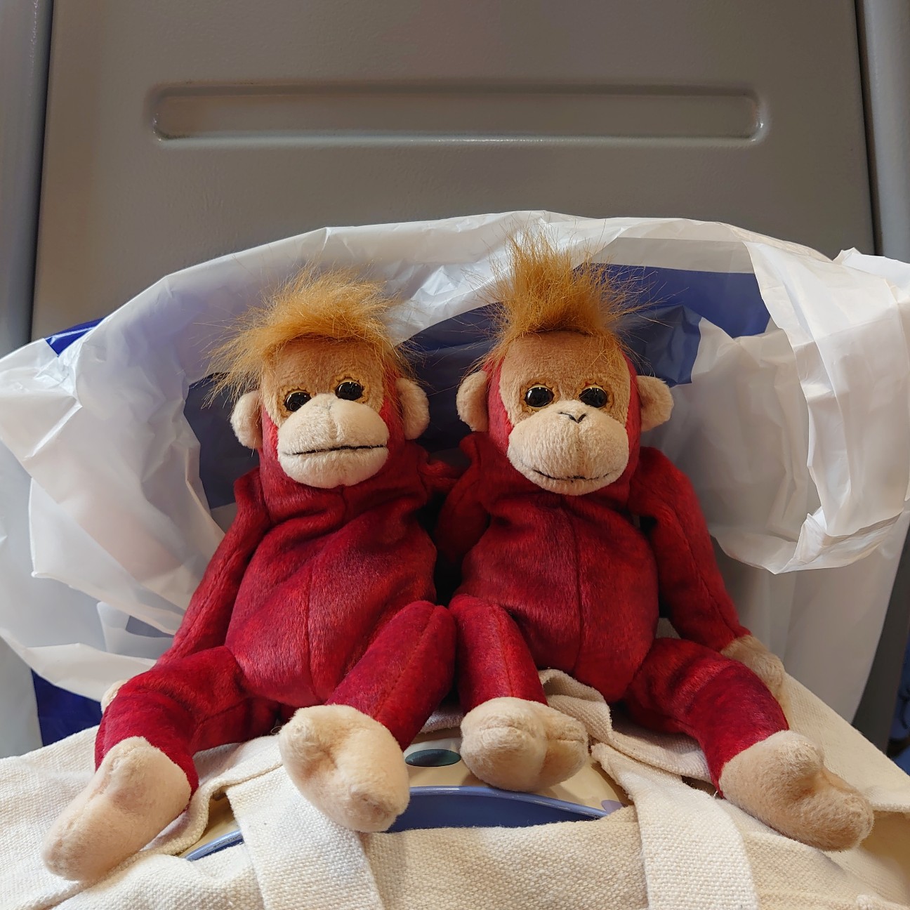 f:id:tomoeagle:20190612003919j:plain