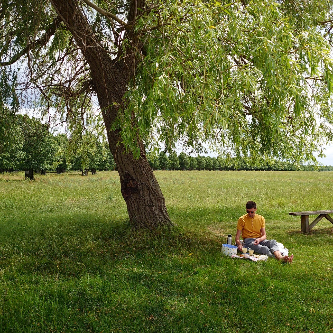 f:id:tomoeagle:20190612004856j:plain