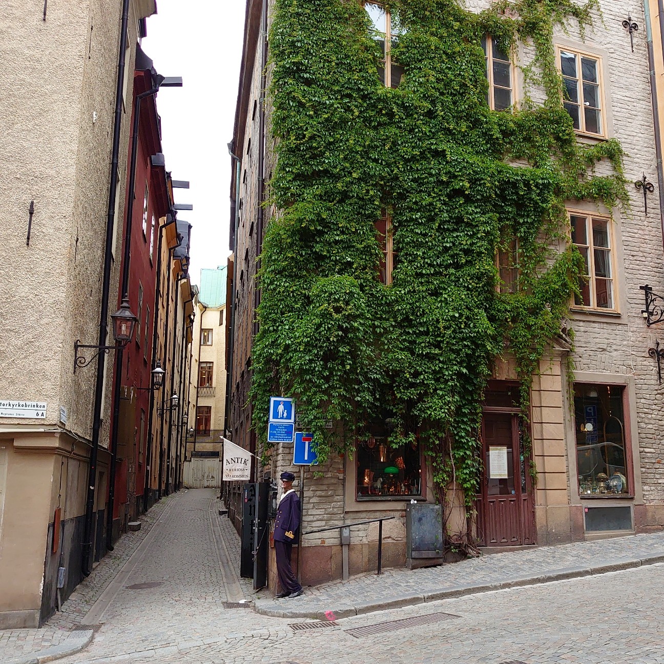 f:id:tomoeagle:20190715200149j:plain