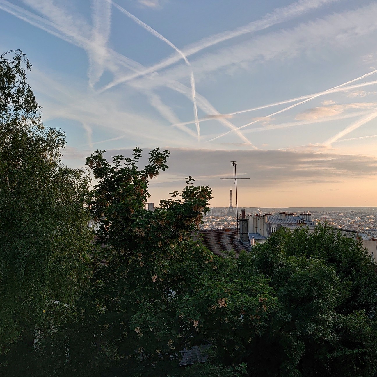 f:id:tomoeagle:20190723231634j:plain