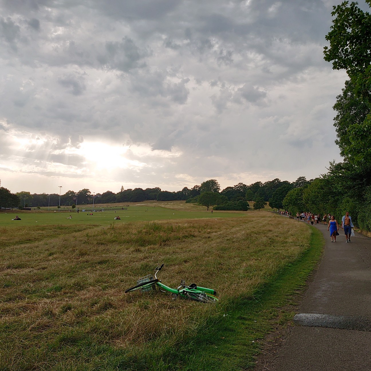 f:id:tomoeagle:20190729212105j:plain f:id:tomoeagle:20190729212105j:plain