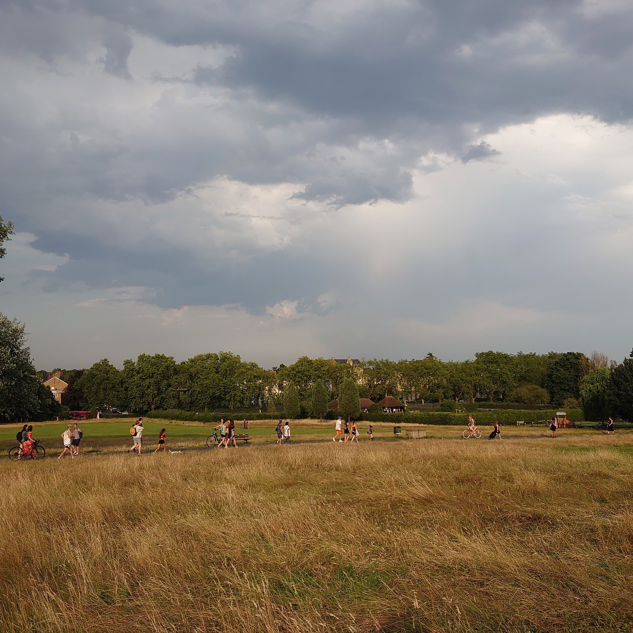 f:id:tomoeagle:20190729212108j:plain f:id:tomoeagle:20190729212108j:plain