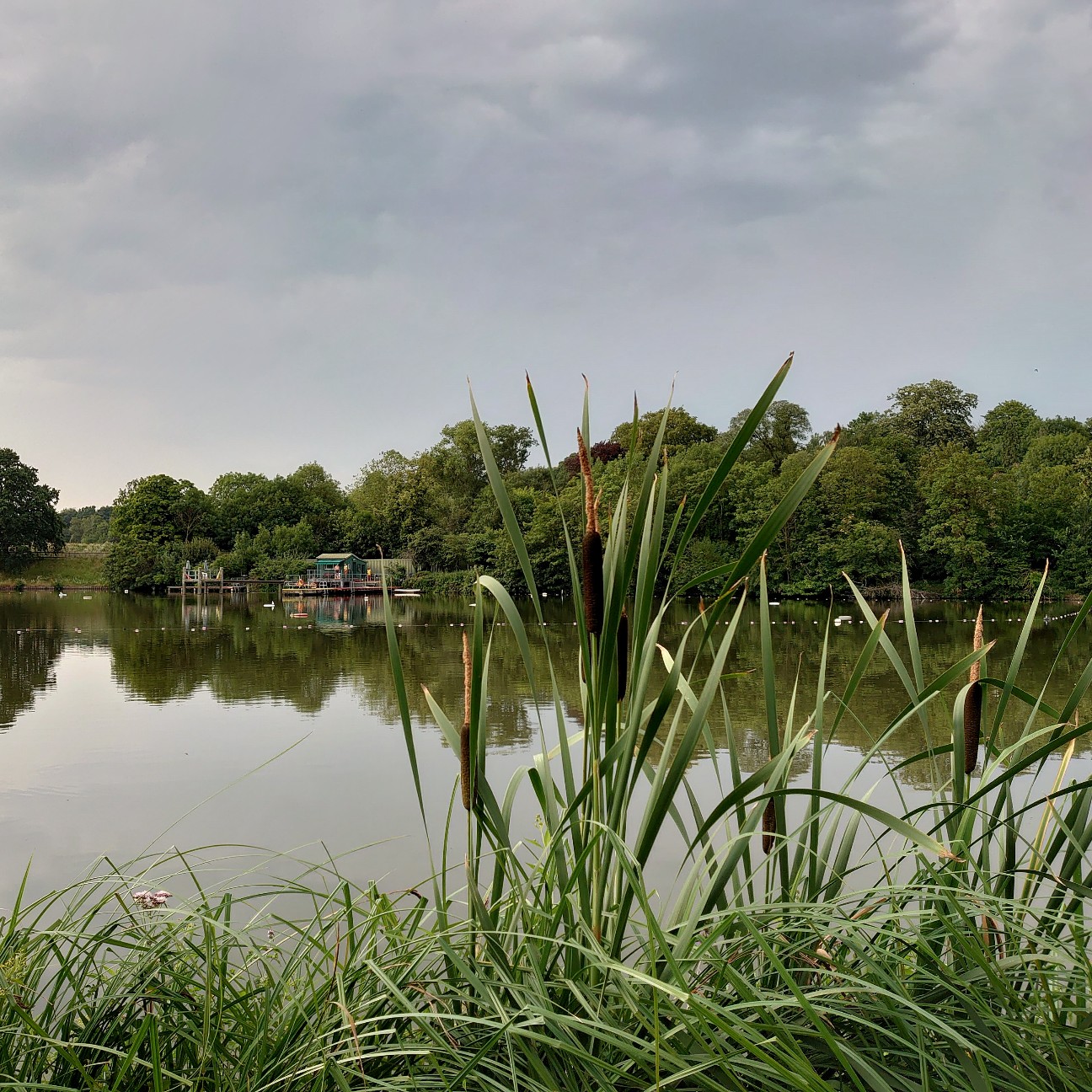 f:id:tomoeagle:20190729212113j:plain f:id:tomoeagle:20190729212113j:plain