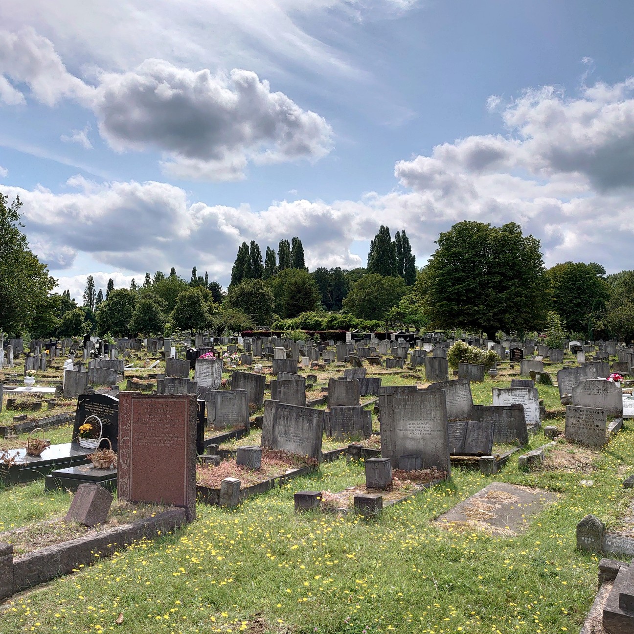 f:id:tomoeagle:20190729212542j:plain