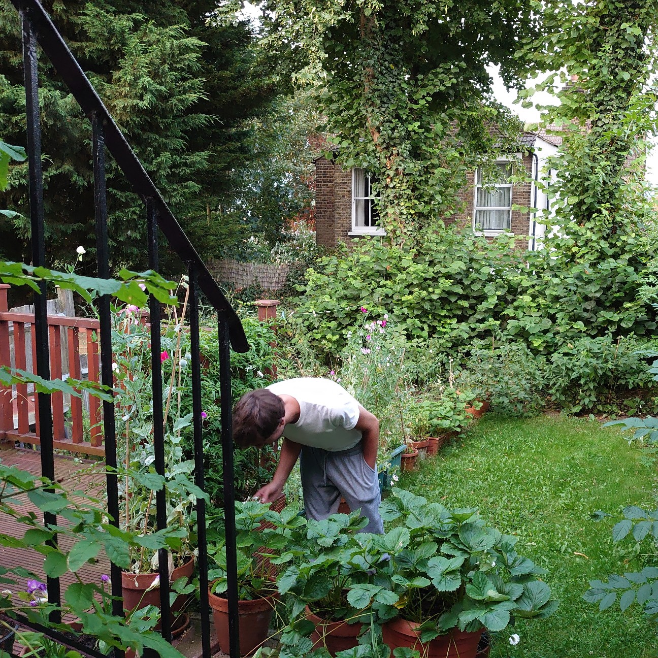 f:id:tomoeagle:20190729212610j:plain