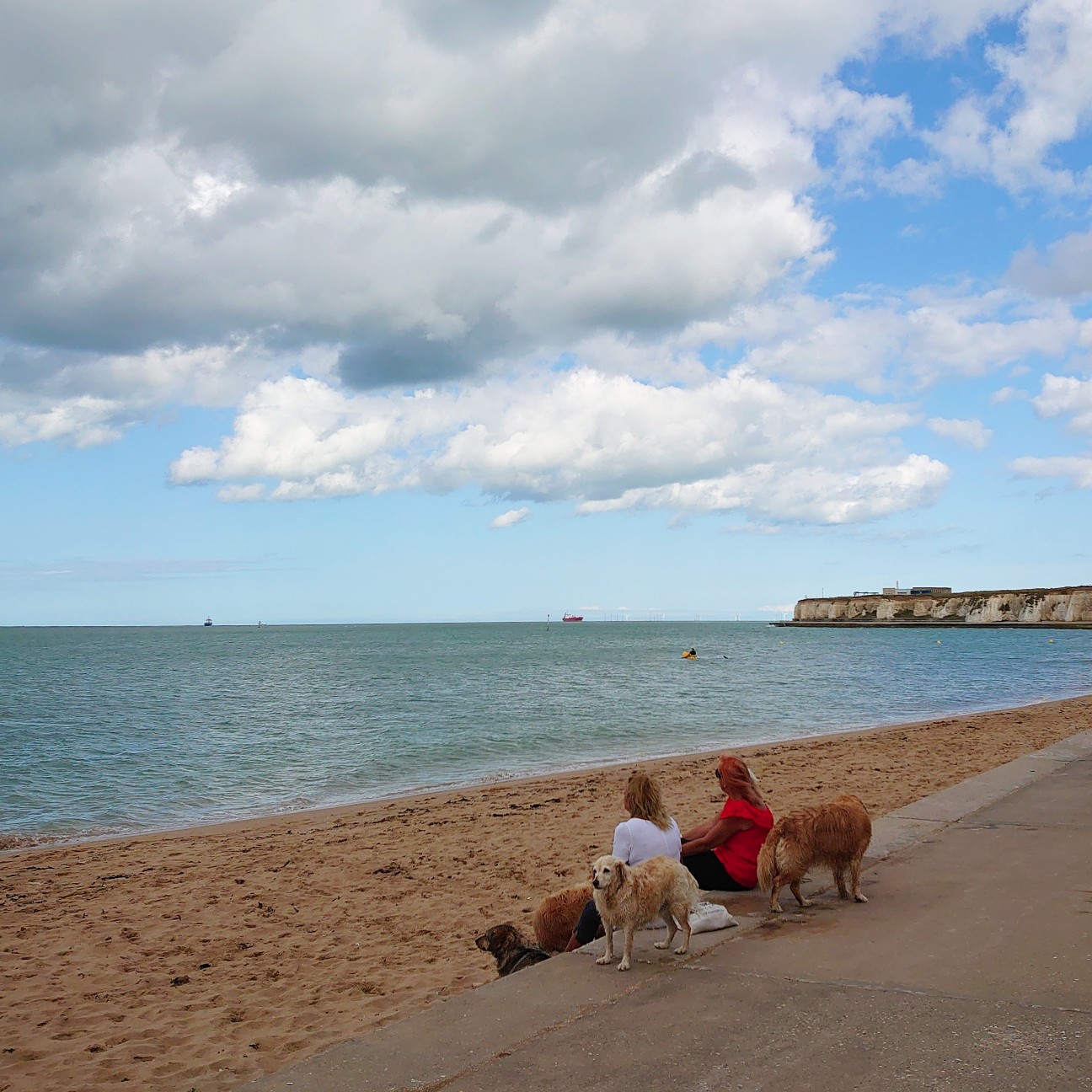 f:id:tomoeagle:20190820175348j:plain