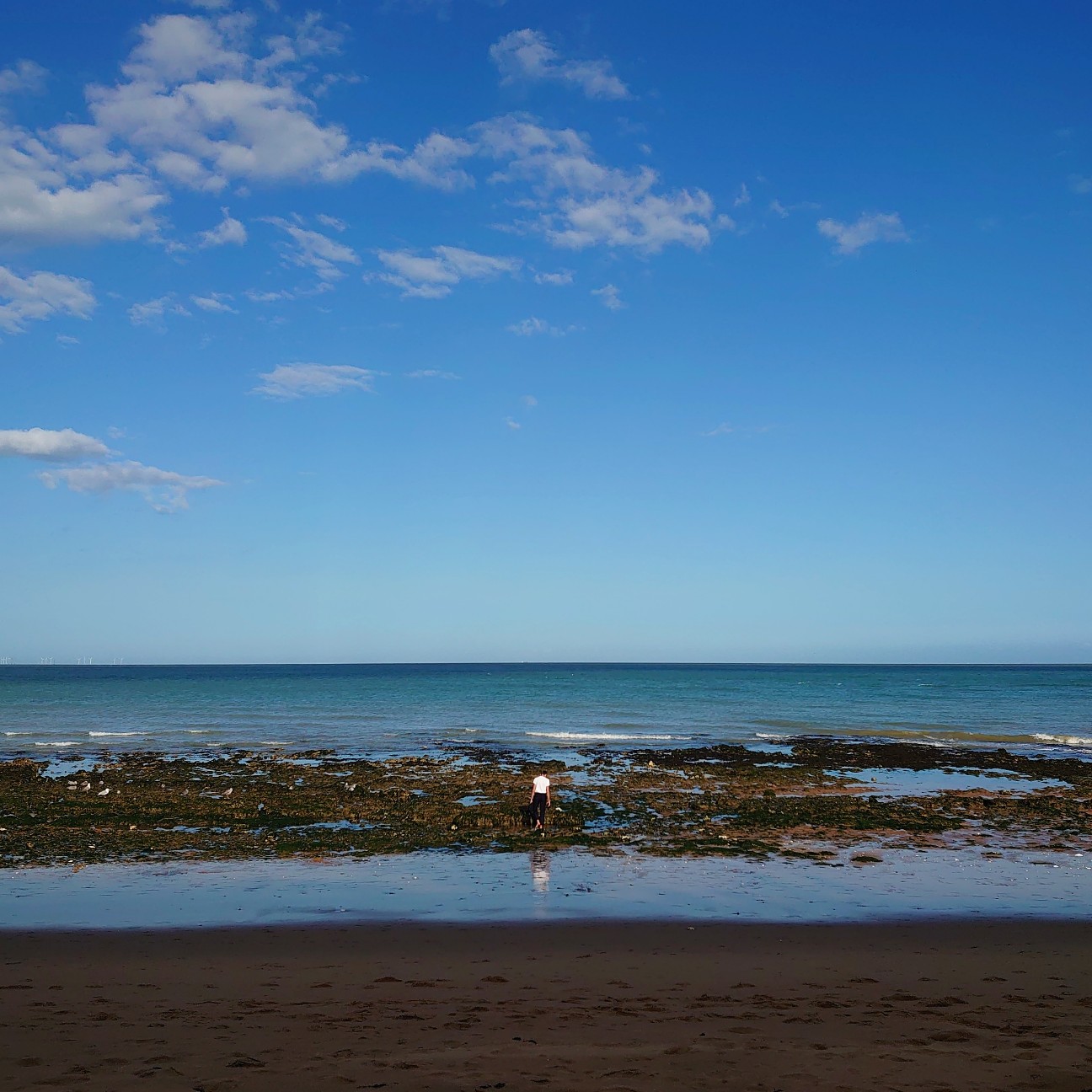 f:id:tomoeagle:20190820175407j:plain