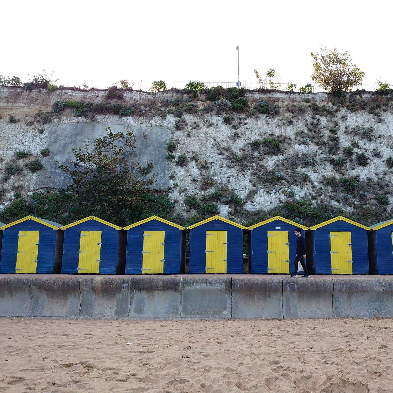 f:id:tomoeagle:20190820175413j:plain