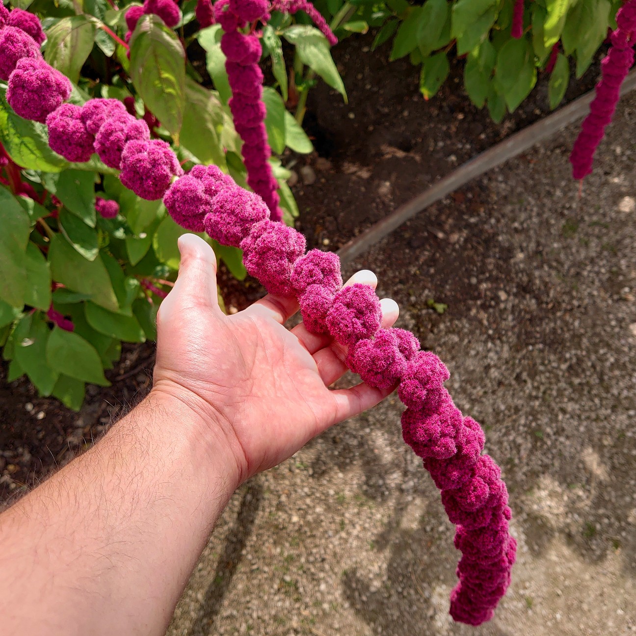 f:id:tomoeagle:20190902175135j:plain