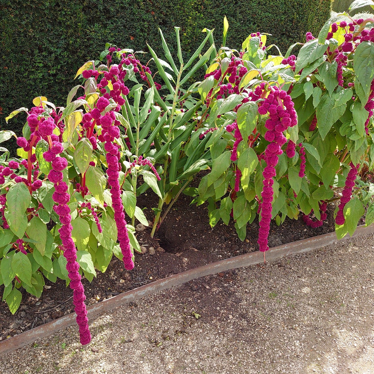 f:id:tomoeagle:20190902175140j:plain