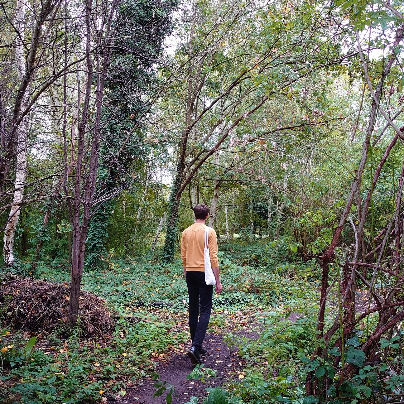 f:id:tomoeagle:20190930175220j:plain