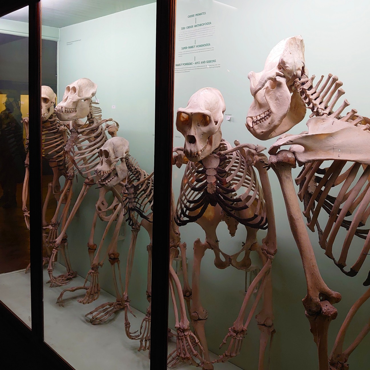 f:id:tomoeagle:20190930175230j:plain