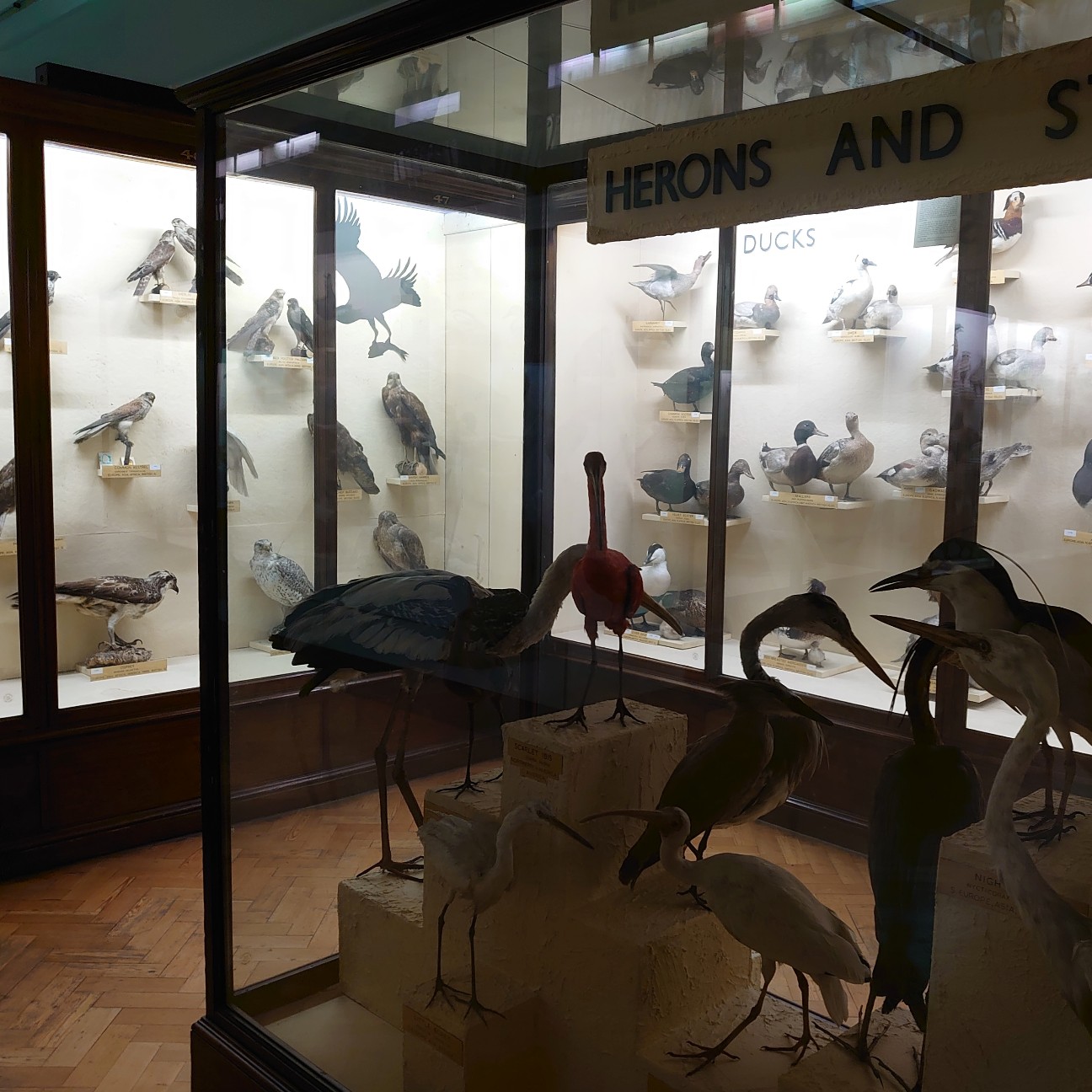 f:id:tomoeagle:20190930175240j:plain