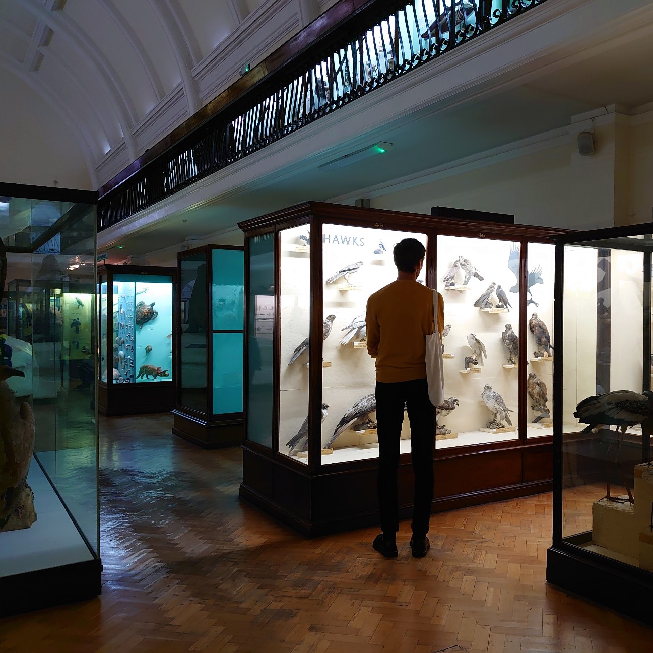 f:id:tomoeagle:20190930175243j:plain