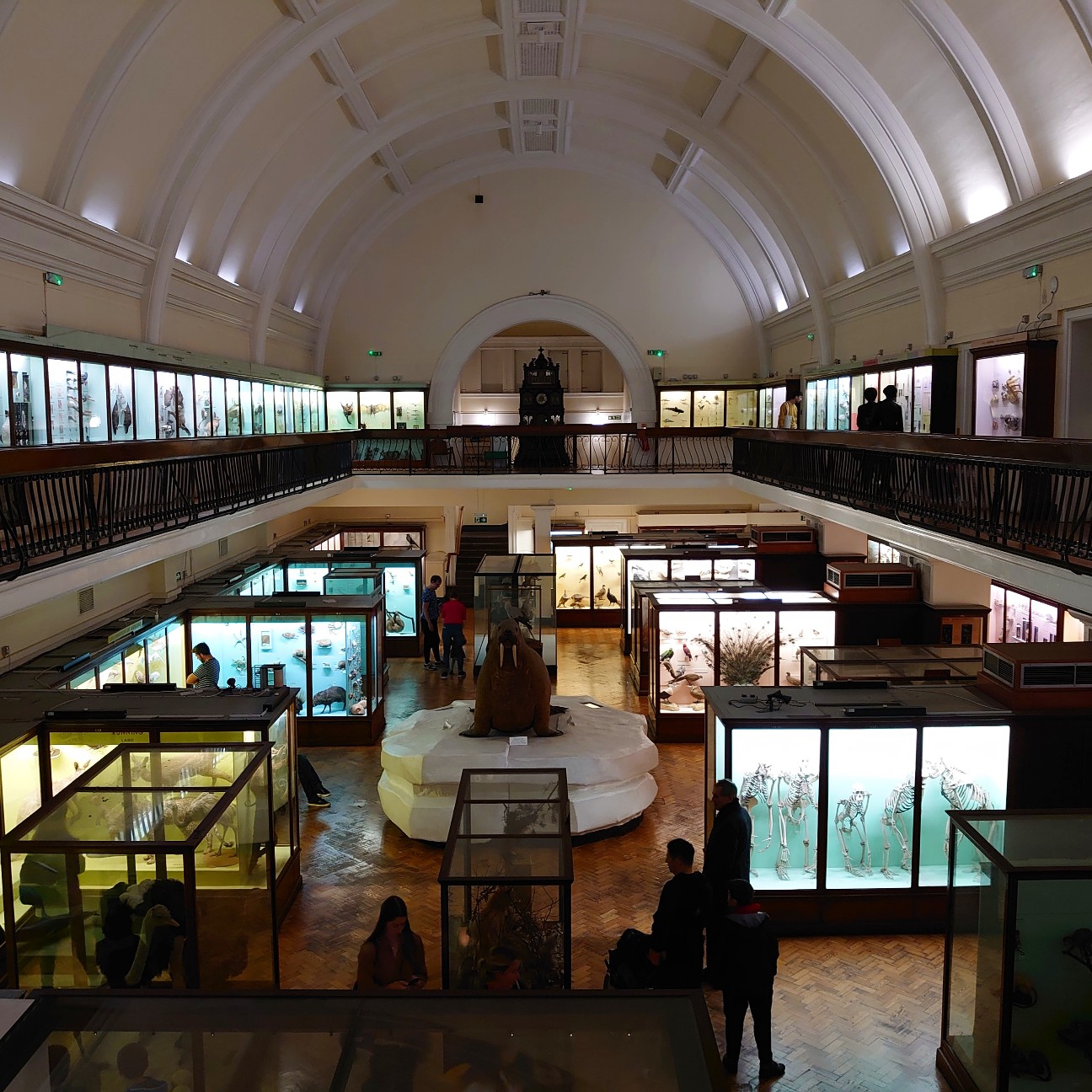 f:id:tomoeagle:20190930175302j:plain