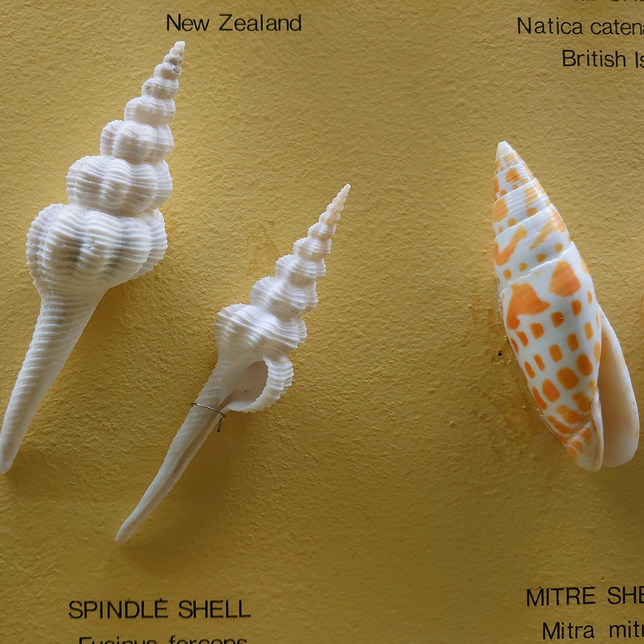 f:id:tomoeagle:20190930175307j:plain