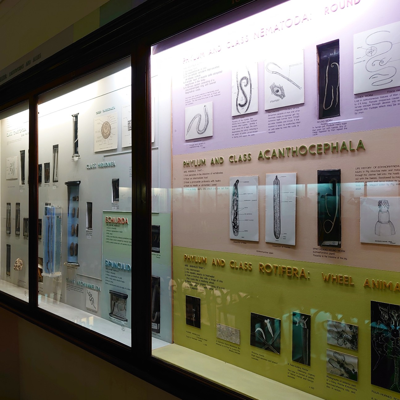 f:id:tomoeagle:20190930175317j:plain