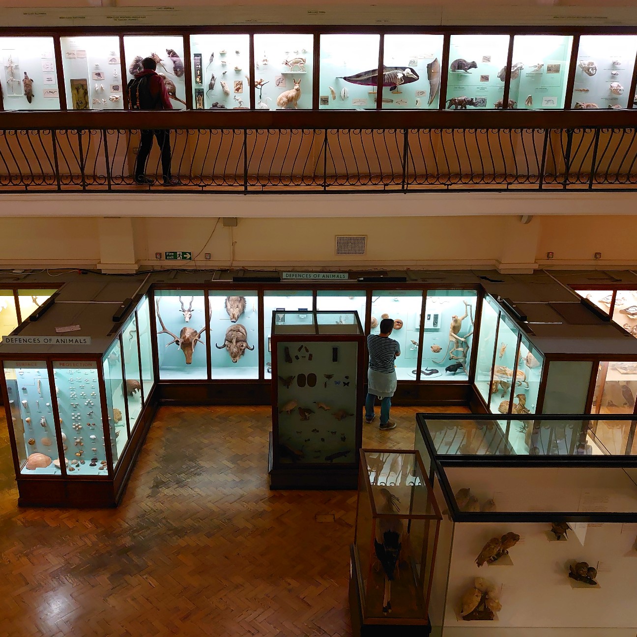 f:id:tomoeagle:20190930175324j:plain