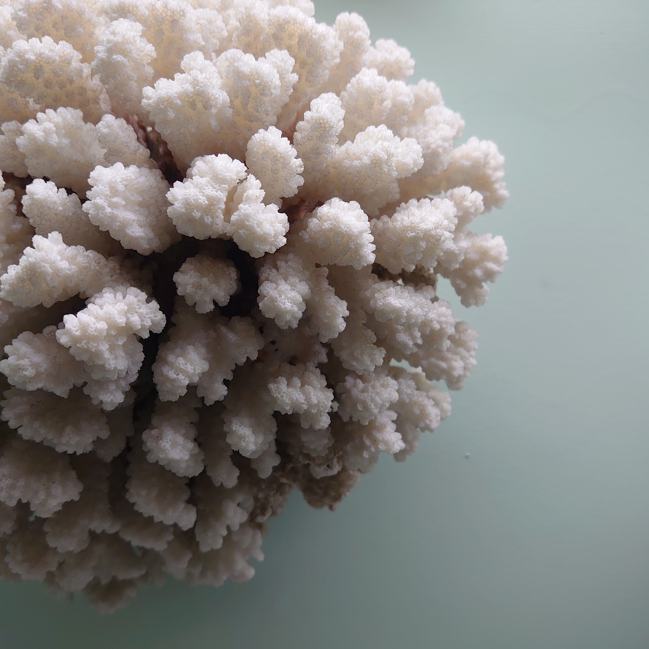 f:id:tomoeagle:20190930175327j:plain