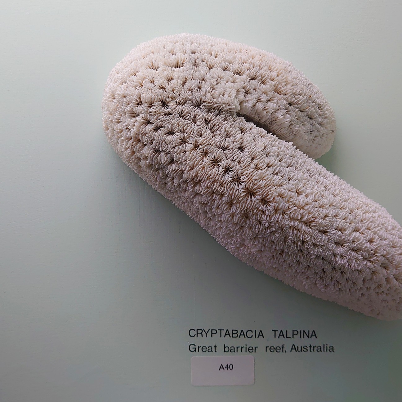 f:id:tomoeagle:20190930175331j:plain