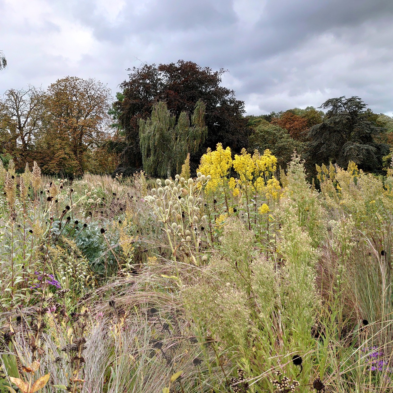 f:id:tomoeagle:20190930200332j:plain