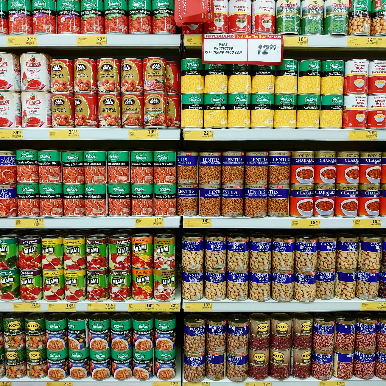 f:id:tomoeagle:20191012235419j:plain