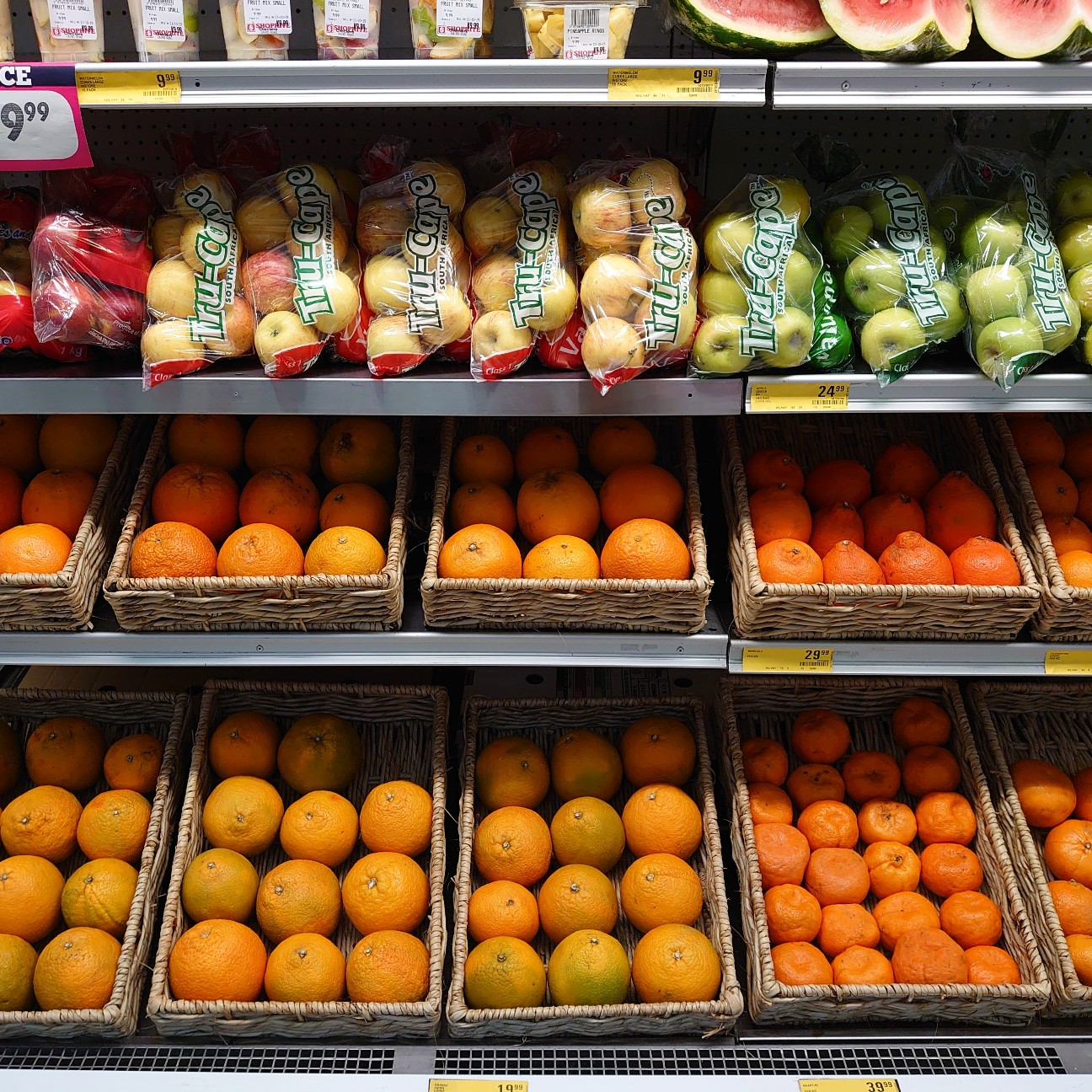 f:id:tomoeagle:20191013001539j:plain