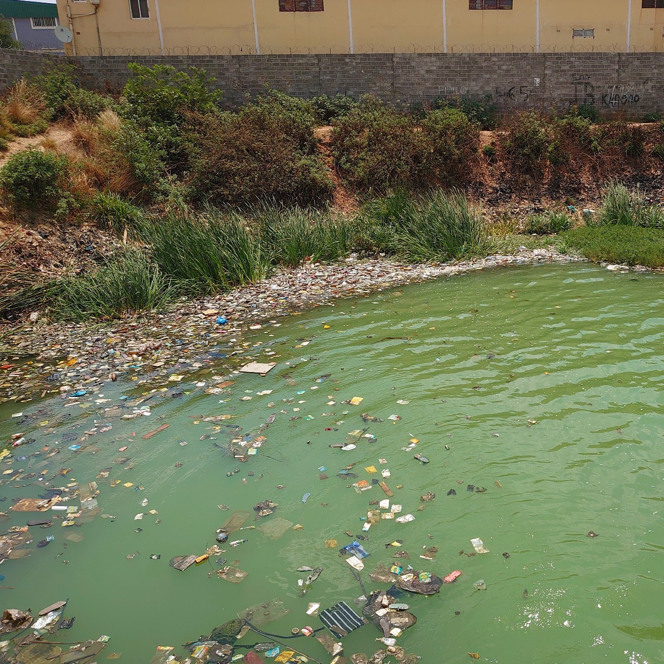 f:id:tomoeagle:20191014195524j:plain