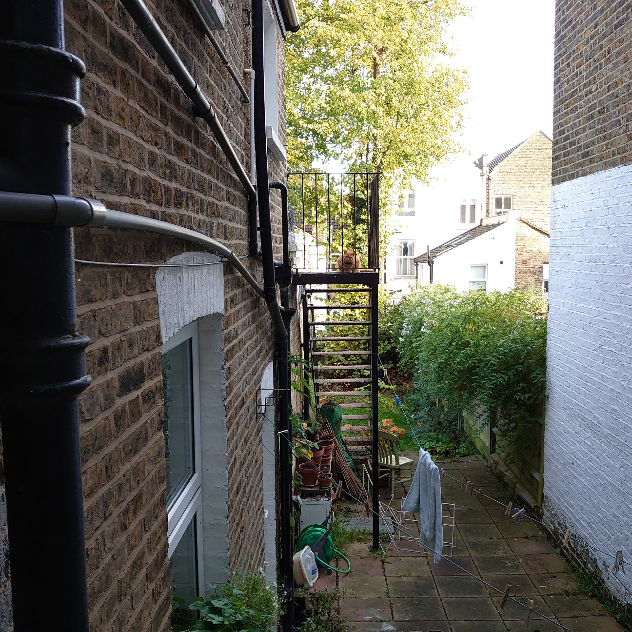 f:id:tomoeagle:20191028180010j:plain