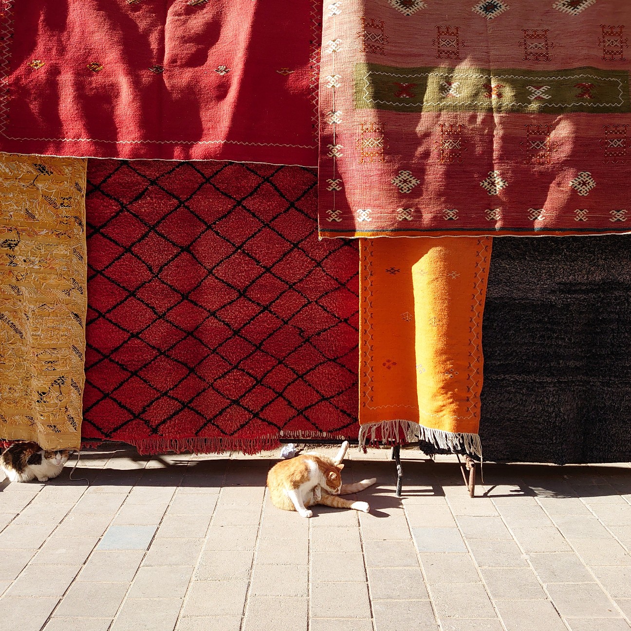 モロッコの港町エッサウィラで魚介類食べてハマムに行ってを永遠繰り返す男 ロンドンのテムズでズンドコレボリューション