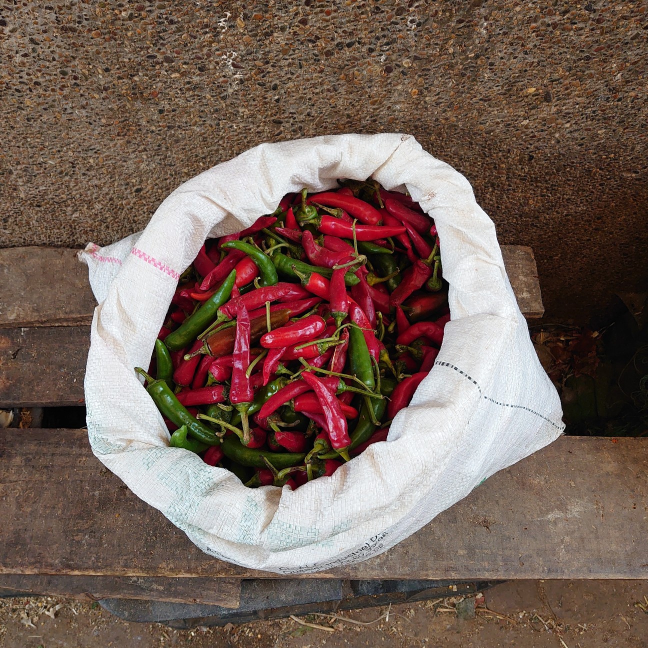 f:id:tomoeagle:20191112090229j:plain